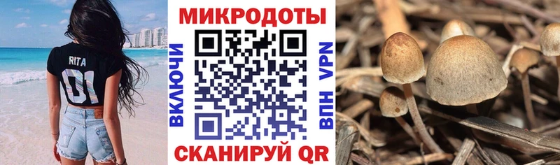 Галлюциногенные грибы Cubensis  ОМГ ОМГ ONION  Тюмень  цена наркотик 